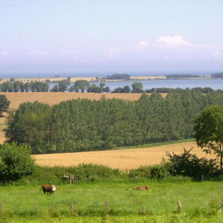 Ferienwohnungen Und Ferienhaus Im Nixenweg Ховахт Екстериор снимка