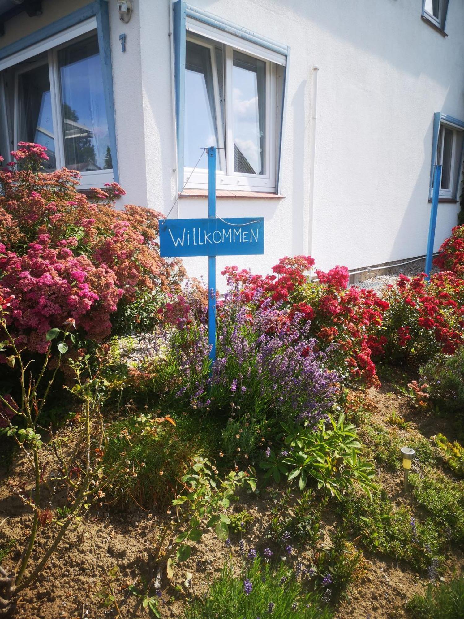 Ferienwohnungen Und Ferienhaus Im Nixenweg Ховахт Екстериор снимка