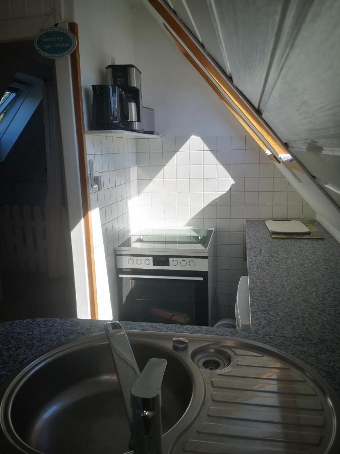 Ferienwohnungen Und Ferienhaus Im Nixenweg Ховахт Екстериор снимка