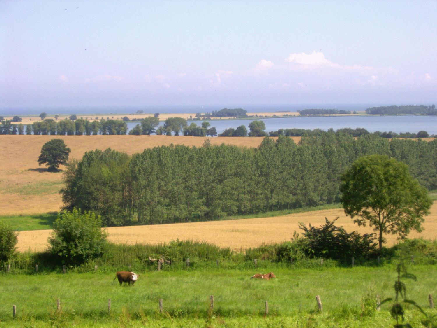 Ferienwohnungen Und Ferienhaus Im Nixenweg Ховахт Екстериор снимка